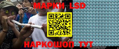 прущие грибы Ставрополь