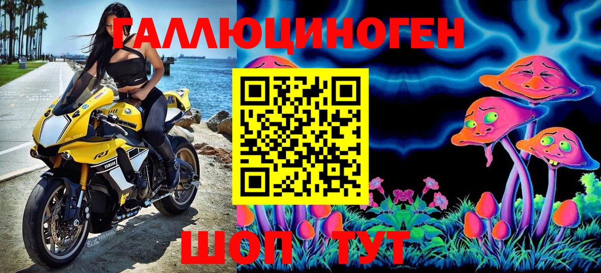 где продают наркотики  Галлюциногенные грибы Psilocybine cubensis  Ростов Великий  Вход с VPN  Галлюциногенные грибы мицелий 