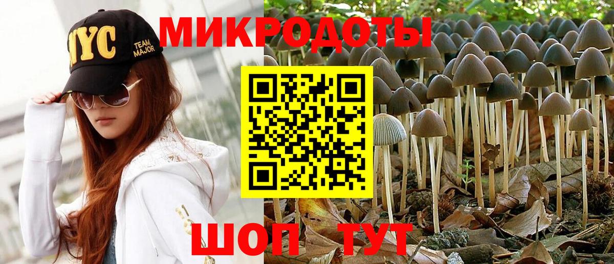 Псилоцибиновые грибы GOLDEN TEACHER Ростов Великий